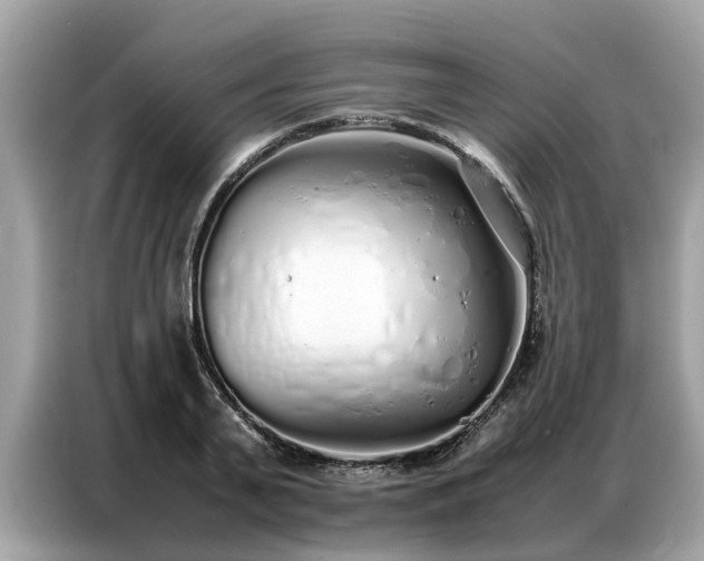 X0000087360791200704271436