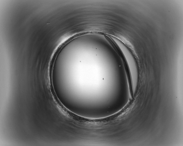 X0000087360792200704271436