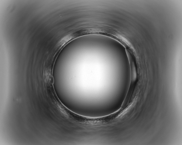 X0000087360793200704271436