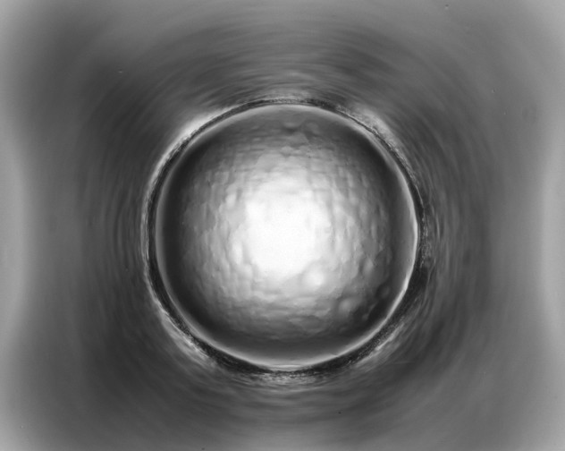 X0000087360795200704271436