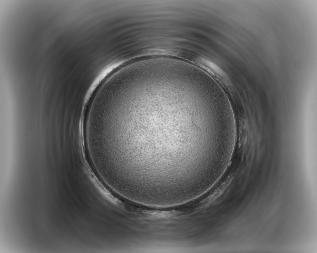X0000087360796200704271436