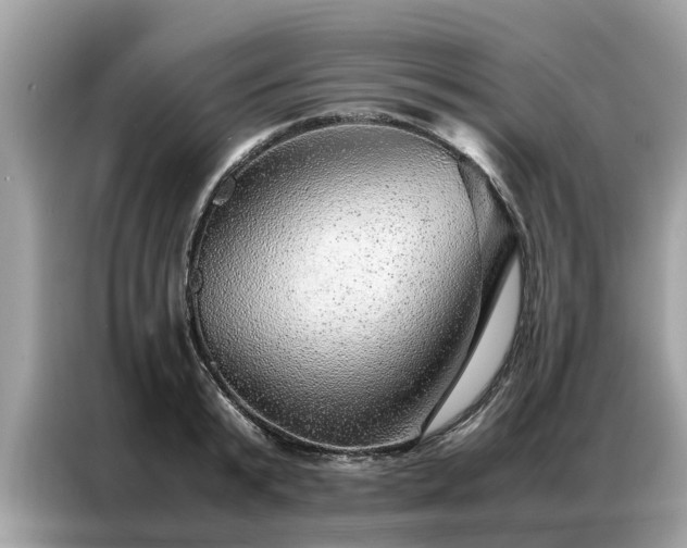 X0000087360799200704271436