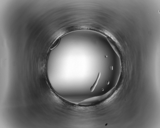 X0000087360801200704271436