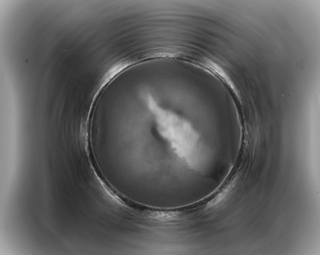X0000087360802200704271436