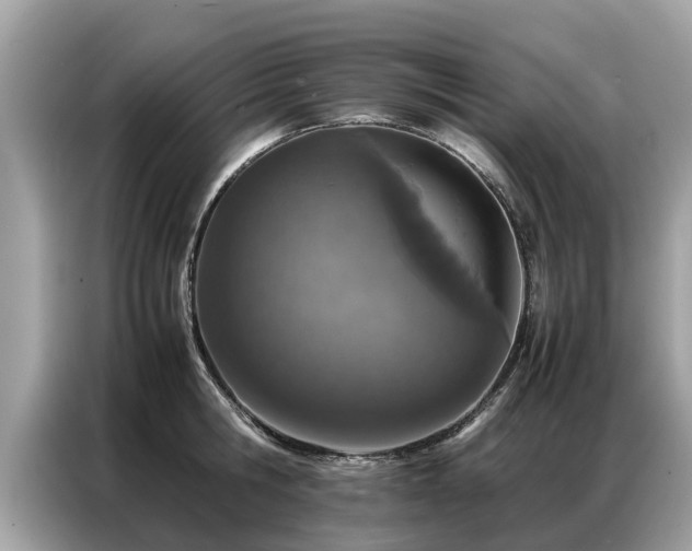 X0000087360806200704271436