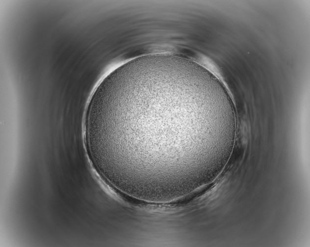 X0000087360811200704271436