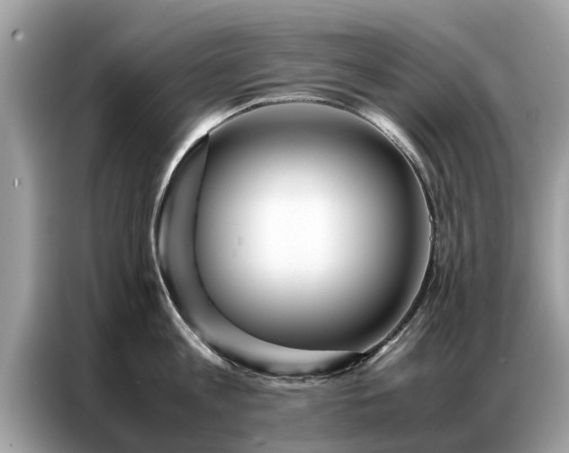 X0000087360813200704271436