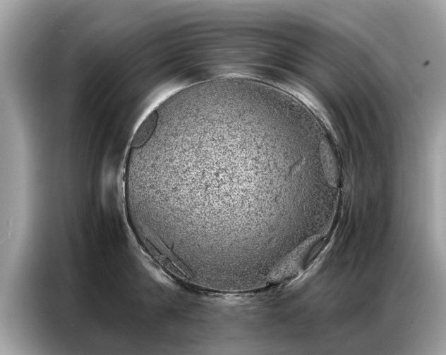 X0000087360814200704271436