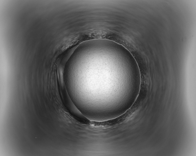 X0000087360818200704271435