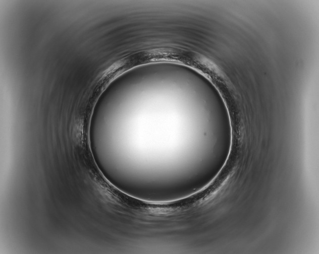 X0000087360825200704271435