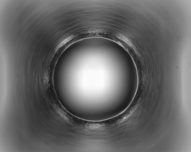 X0000087360826200704271435