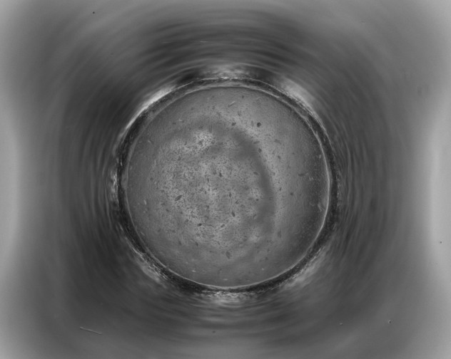 X0000087360827200704271435