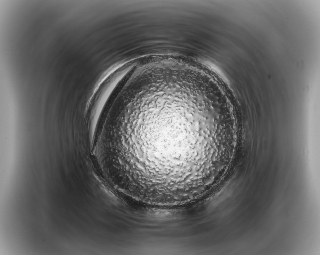 X0000087360829200704271435