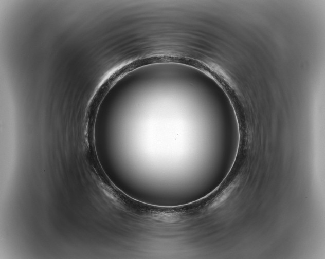X0000087360830200704271435