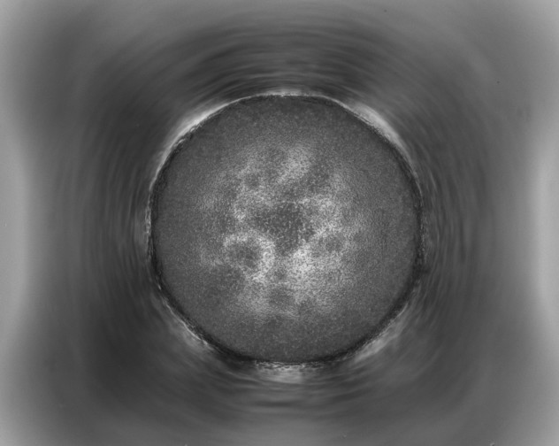X0000087360831200704271435