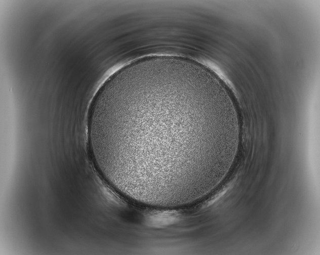X0000087360837200704271436