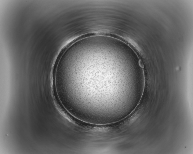 X0000087360840200704271436