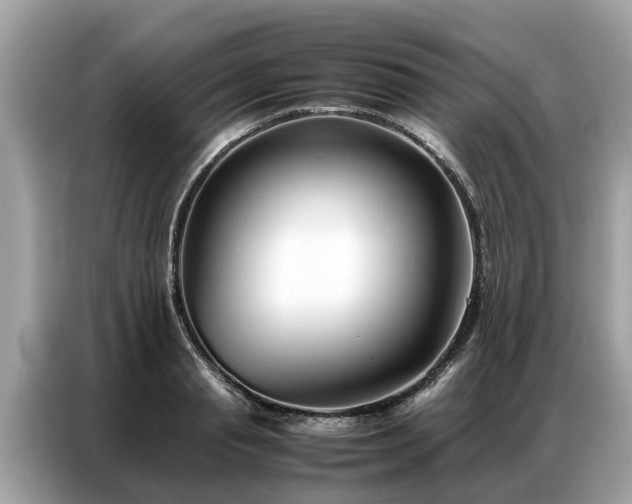 X0000087360845200704271436