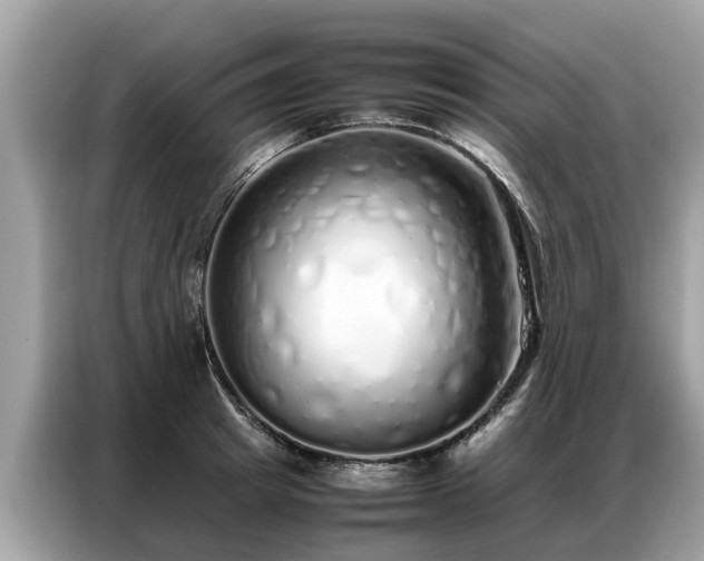 X0000087360849200704271436