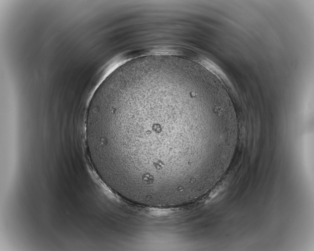 X0000087360852200704271436
