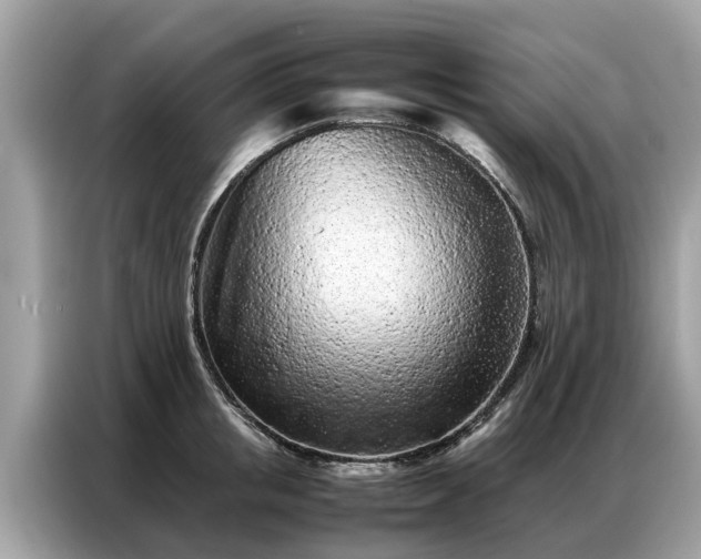 X0000087360853200704271436