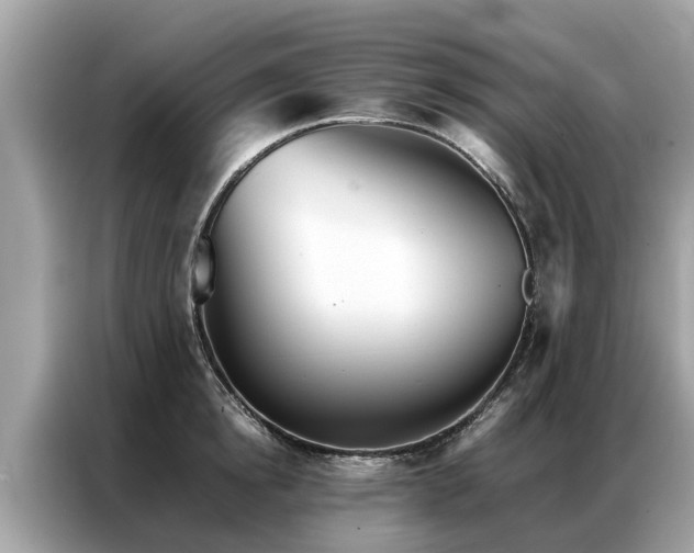 X0000087360854200704271436