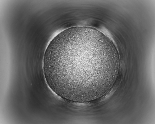 X0000087360855200704271436
