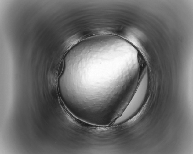 X0000087360857200704271436