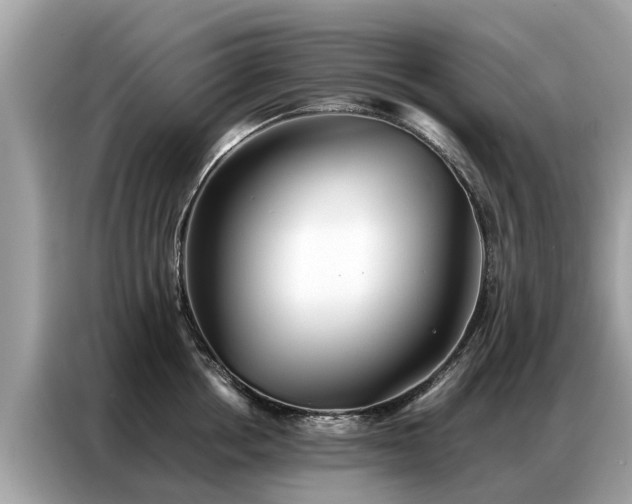 X0000087360858200704271436