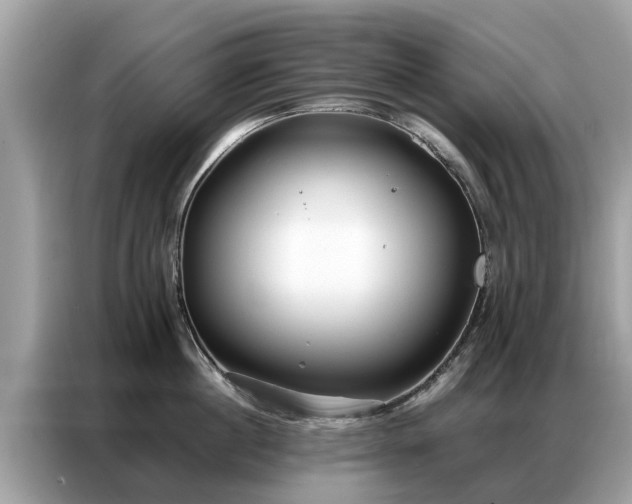 X0000087360860200704271436