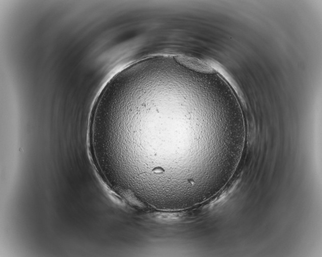 X0000087360861200704271436