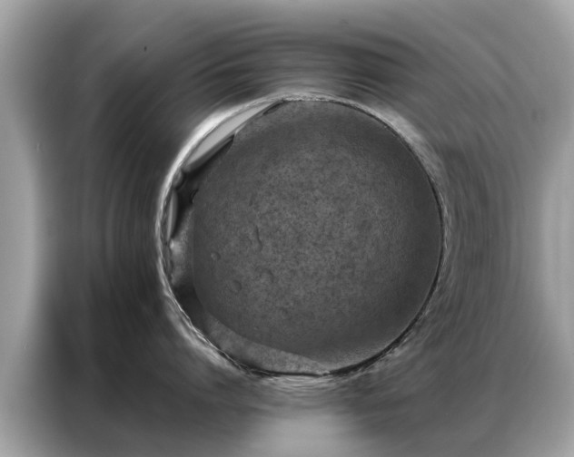 X0000087360864200704271436
