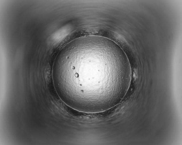 X0000087360867200704271435