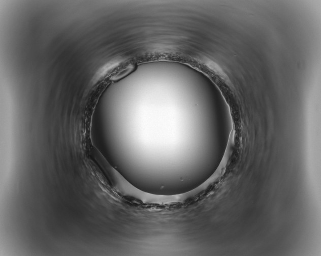 X0000087360872200704271435