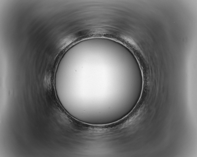 X0000087360873200704271435