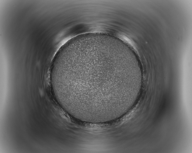 X0000087360875200704271435