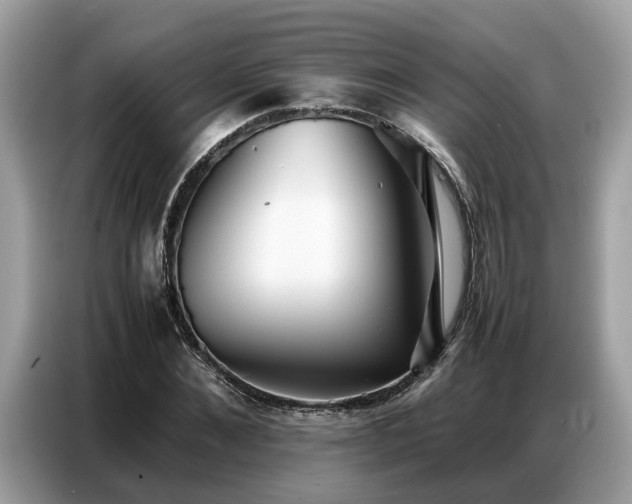 X0000087360876200704271435