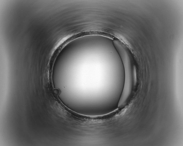 X0000087360877200704271435