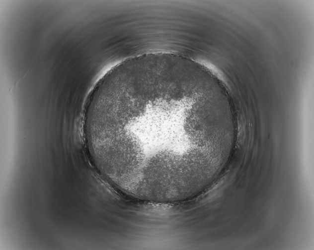 X0000087360878200704271435