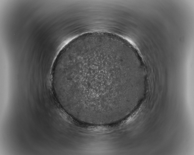 X0000087360879200704271435