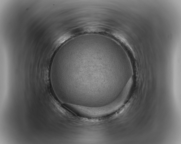X0000087360881200704271435