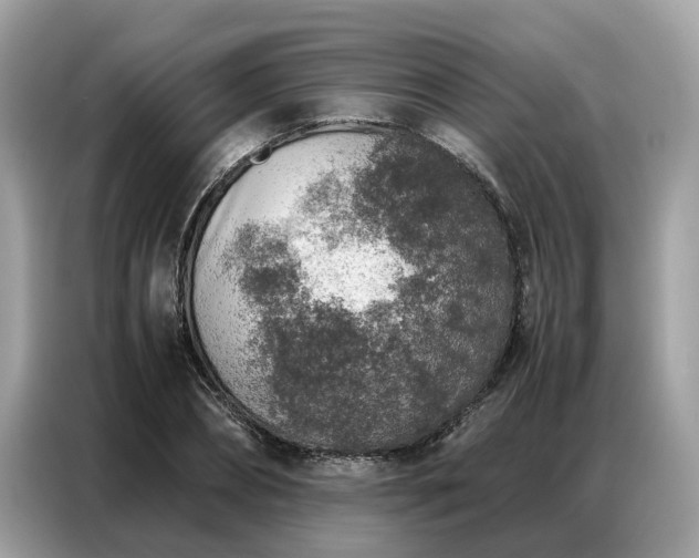 X0000087360882200704271435