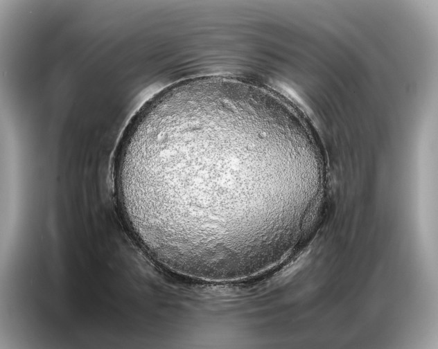 X0000087360883200704271435