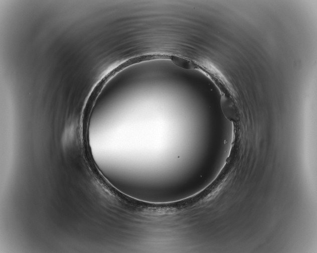 X0000087360884200704271435