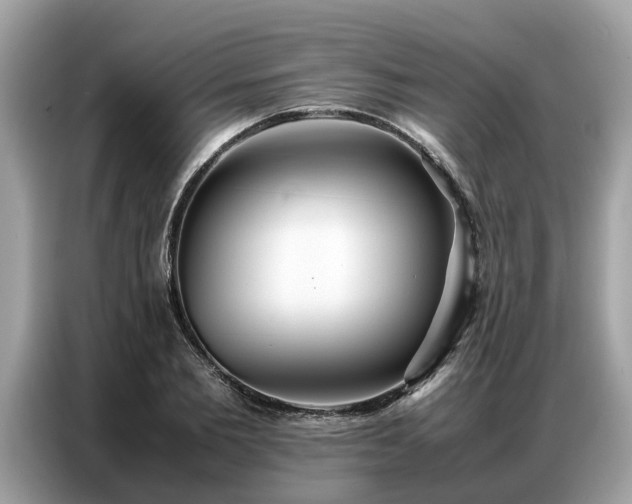 X0000087360885200704271435