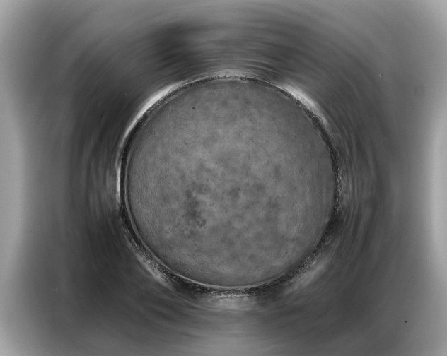 X0000087360886200704271435