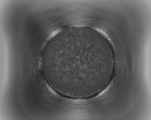 X0000087360889200704271435