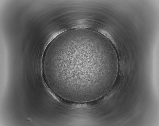 X0000087360890200704271435