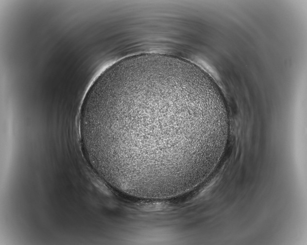 X0000087360891200704271435