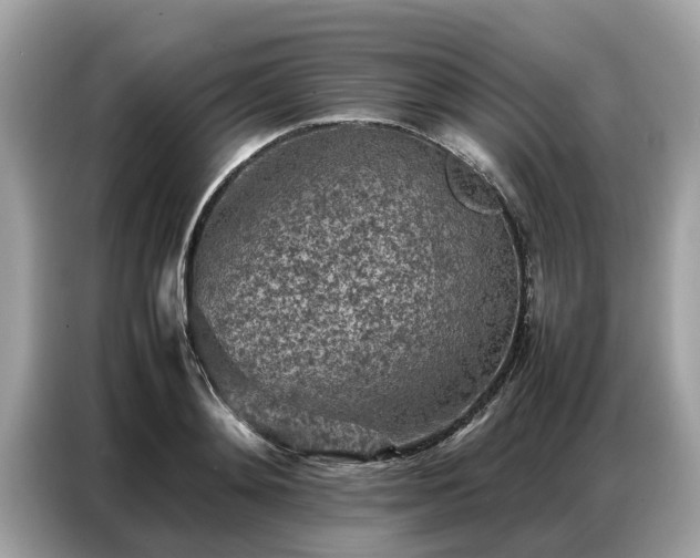 X0000087360892200704271435